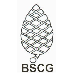 BSCG Logo